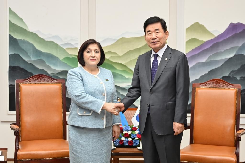 Azerbaijan and Korea could supplement established interaction formats and co-operation in various organisation with co-action in new formats - Speaker