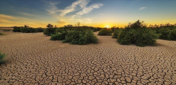 Climate crisis is generating a global health emergency: UN