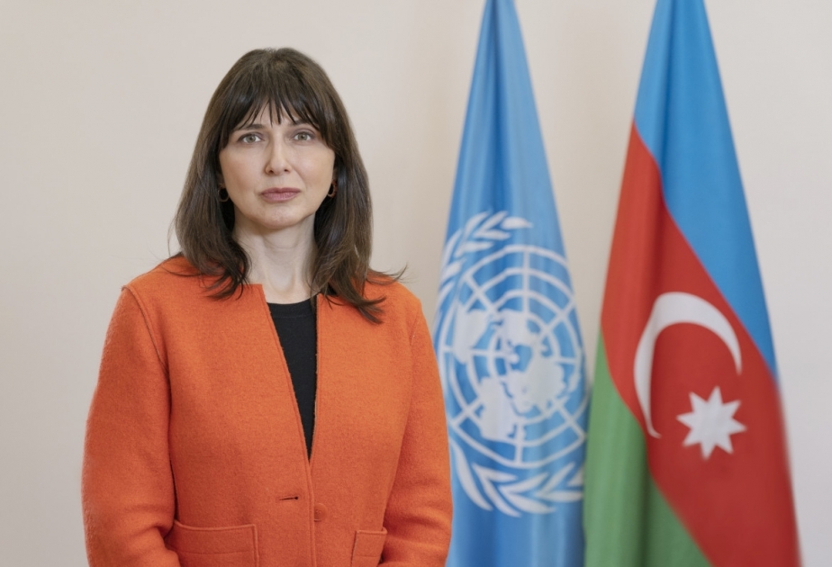 Hundreds of Azerbaijanis became victims of mines after the war - UN Resident Coordinator