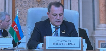 Continuing tension in Israel-Palestine conflict zone raises serious concern: Azerbaijani FM 