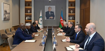 Azerbaijan’s foreign minister informs OIC chief about current situation in the region