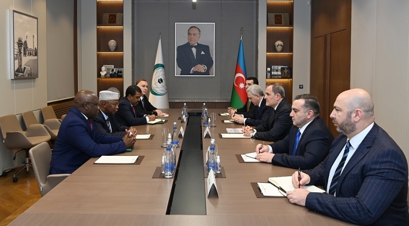 Azerbaijan’s foreign minister informs OIC chief about current situation in the region