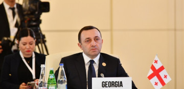 Georgian PM calls Azerbaijan ‘precious partner’