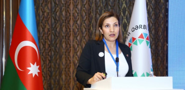 Traces of Azerbaijan in Iravan deliberately erased: Turkish professor