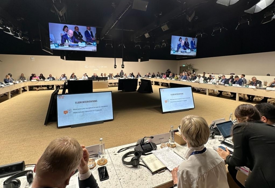 Parviz Shahbazov joins Ministerial Roundtable on Renewables and Energy Efficiency