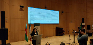 Co-op with Arab companies to further boost green energy production in Azerbaijan: MP