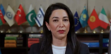 Azerbaijani Ombudsperson appeals to international organizations