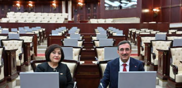 Speaker of Azerbaijani parliament meets Turkish Vice President