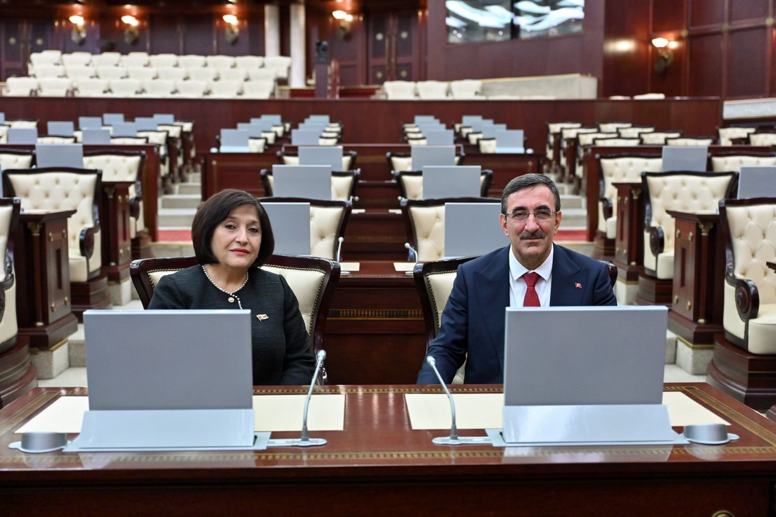 Speaker of Azerbaijani parliament meets Turkish Vice President