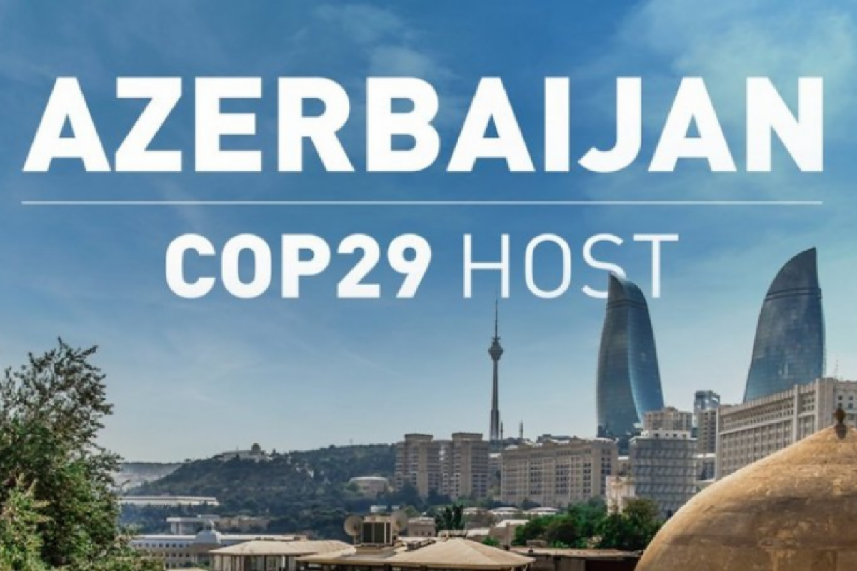 Azerbaijan will play a major role in achieving the goals of UNFCCC - Ambassador