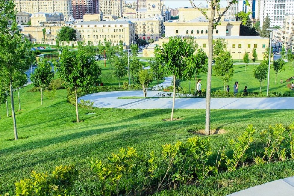 Standards for providing greening in Baku per capita determined