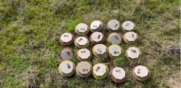 Armenia commits to hand over additional minefield maps to Azerbaijan