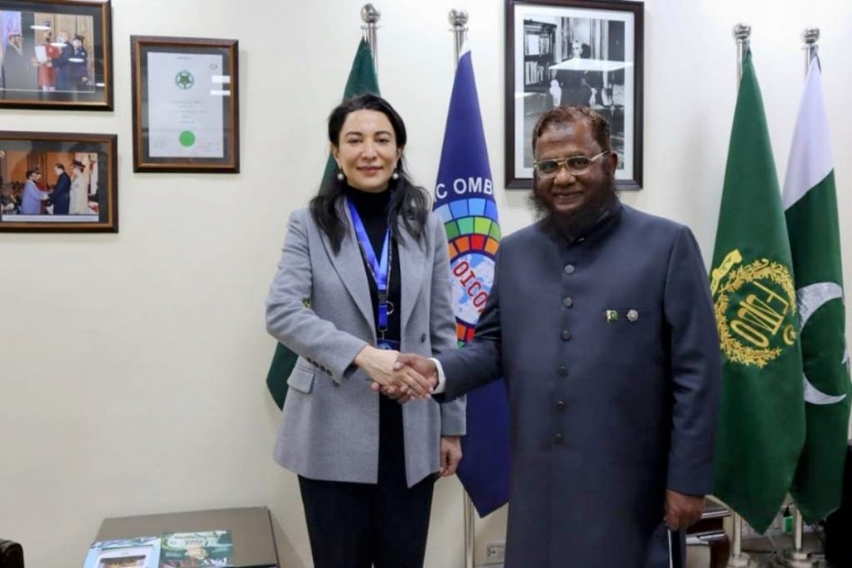 Azerbaijani Ombudsperson draws attention to landmine issues at international event