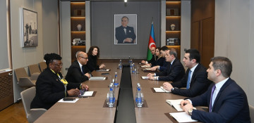 Azerbaijani FM talks COP29 homework with UN Executive Secretary