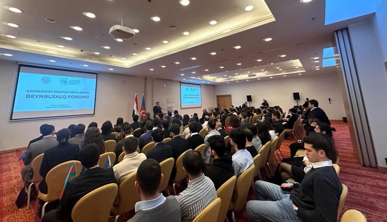 Azerbaijani ambassador to Hungary calls on diaspora youth to actively participate in upcoming presidential election