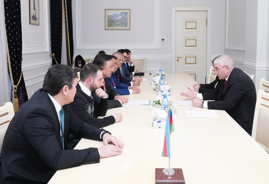Chairman of Azerbaijan’s Central Election Commission meets with OTS Secretary General