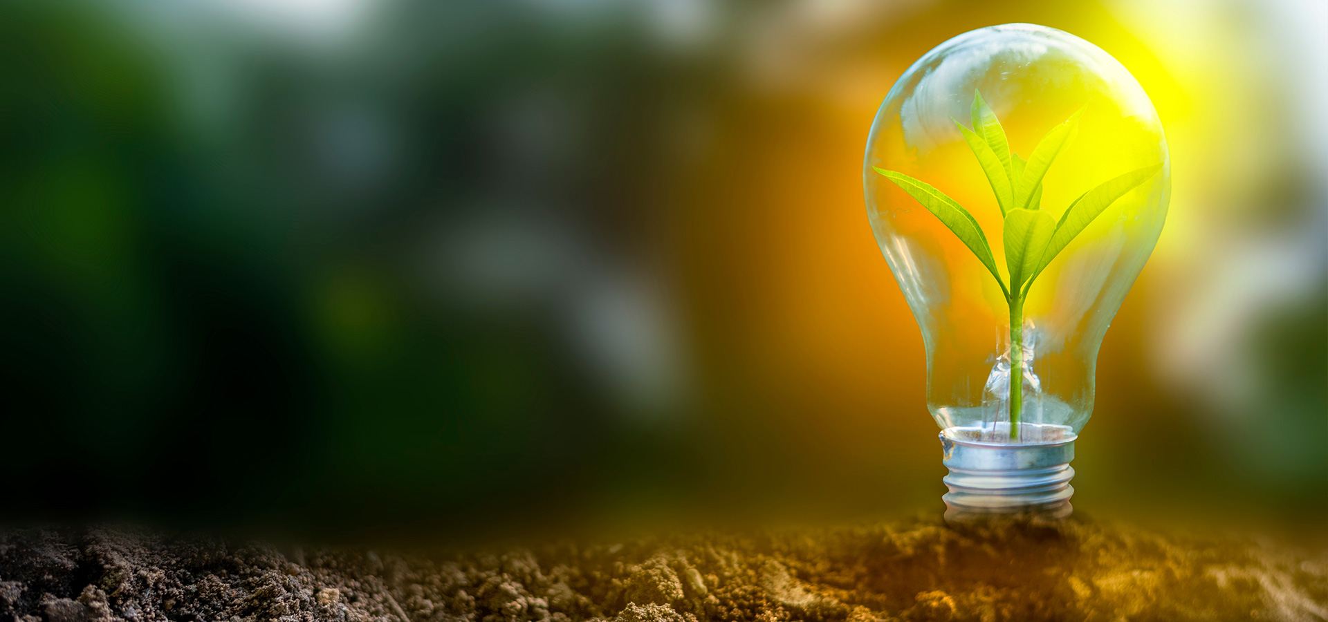 bp reveals timing of starting solar power plant construction in Azerbaijan's Jabrayil