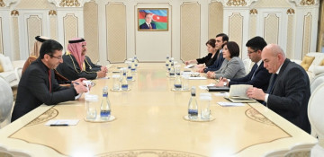 Milli Majlis interested in enhancing co-op with Arab Parliament - Speaker Gafarova