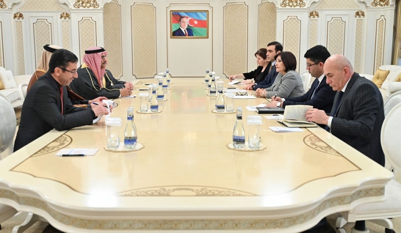 Milli Majlis interested in enhancing co-op with Arab Parliament - Speaker Gafarova