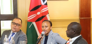 Youth Climate Champion for COP29 Azerbaijan meets with representatives of Kenyan youth organizations