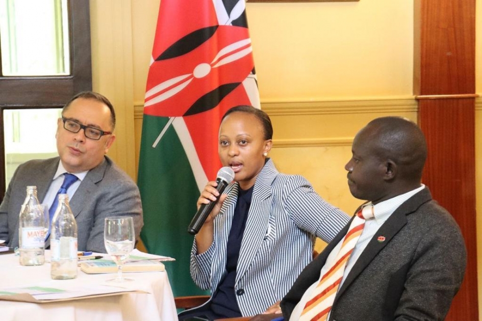 Youth Climate Champion for COP29 Azerbaijan meets with representatives of Kenyan youth organizations