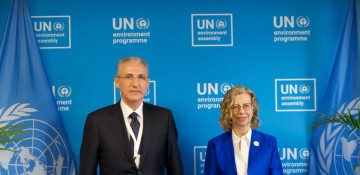 Azerbaijan, UN discuss cooperation on climate change issues