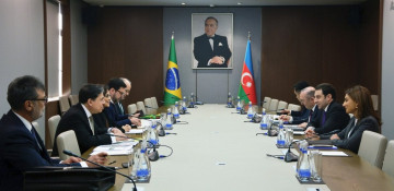 Azerbaijani and Brazilian MFAs hold political consultations