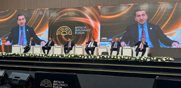 Peace between Azerbaijan and Armenia is not in Paris, or Brussels: Presidential aide