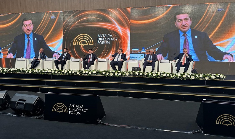 Peace between Azerbaijan and Armenia is not in Paris, or Brussels: Presidential aide