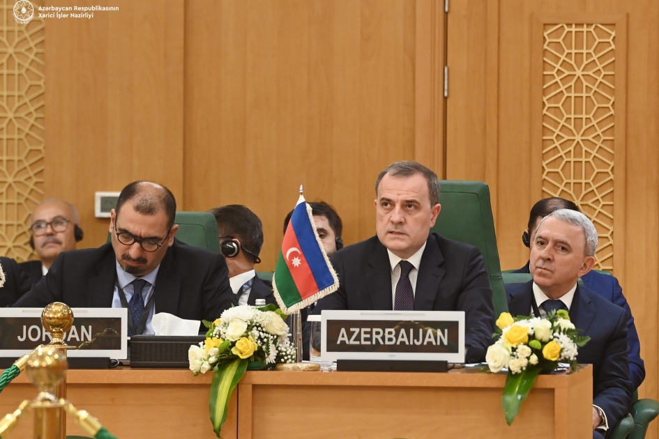 Azerbaijan contributes to alleviating humanitarian consequences of Israeli-Palestinian conflict - FM