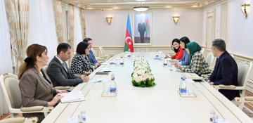 Azerbaijani parliament speaker meets with UNICEF representative
