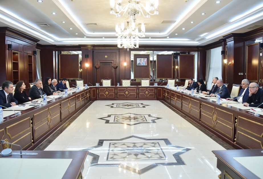 Chair of Georgian Parliament’s Committee visits Azerbaijan's Milli Majlis