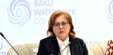 Azerbaijan to address water scarcity challenge with COP29 participating states, says Deputy Ecology Minister