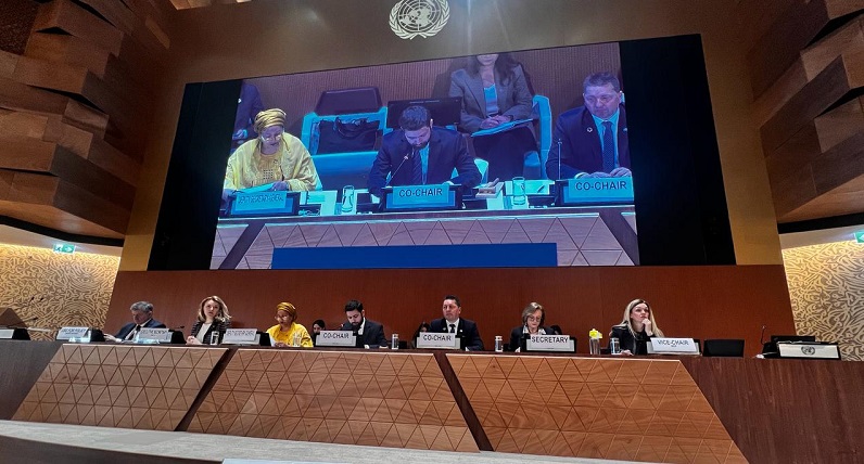 UN forum highlights Western Azerbaijanis’ right to return