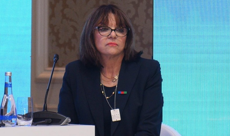 France demonstrates toxic lobbying against Azerbaijan, says French senator