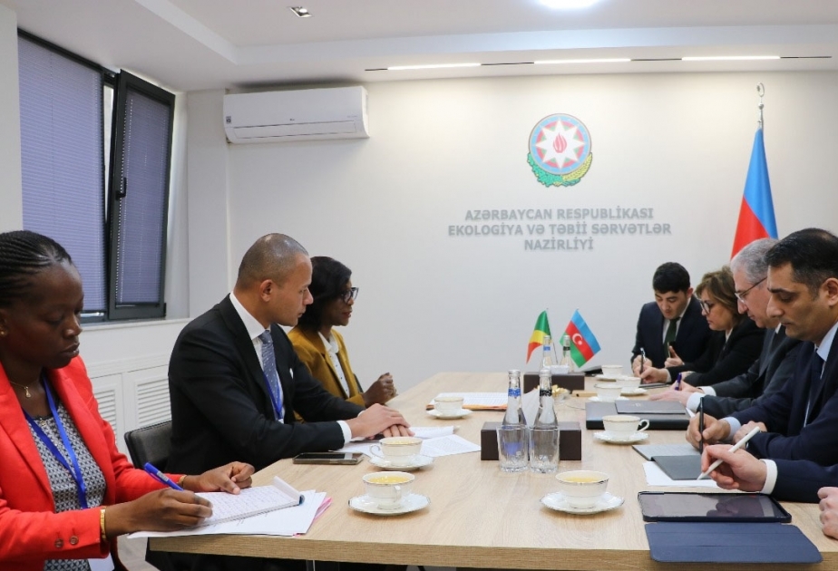 Azerbaijan, Congo discuss COP29 preparations