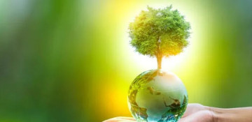 Bonn to host a climate change conference