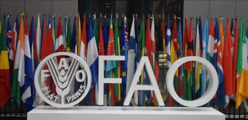 Global food prices up after 7-month downward trend