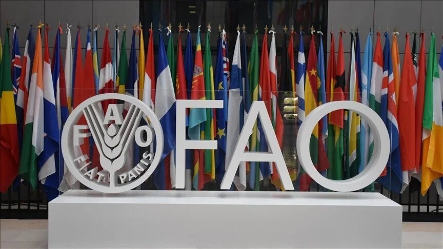 Global food prices up after 7-month downward trend