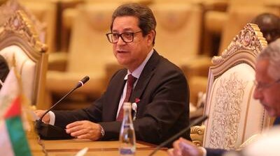 Azerbaijan's declaration of 2024 as the Green World Solidarity Year is a commendable initiative: Aly Abousabaa