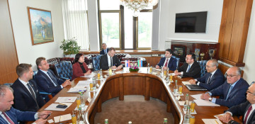 Azerbaijan, Slovakia discuss future joint energy projects