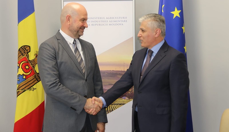 Azerbaijan, Moldova explore possibilities for expanding cooperation