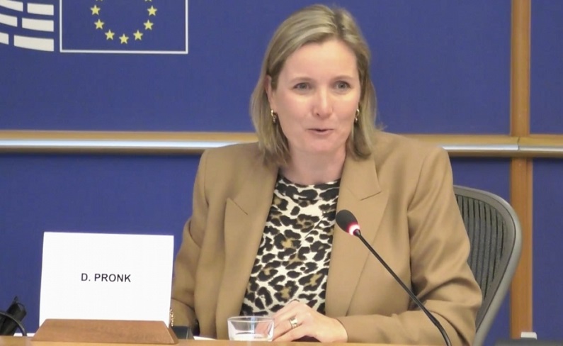 Time has come for concrete steps to ensure peace in S. Caucasus, says EU committee chair