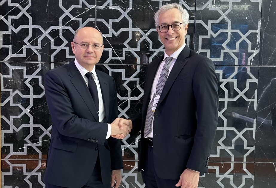 Azerbaijan, ACWA Power mull co-op on wind energy projects