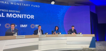 Tackling climate change to require comprehensive combination of policies at national and regional levels - IMF