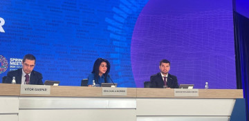 IMF: Carbon pricing should be an integral part of any policy mix