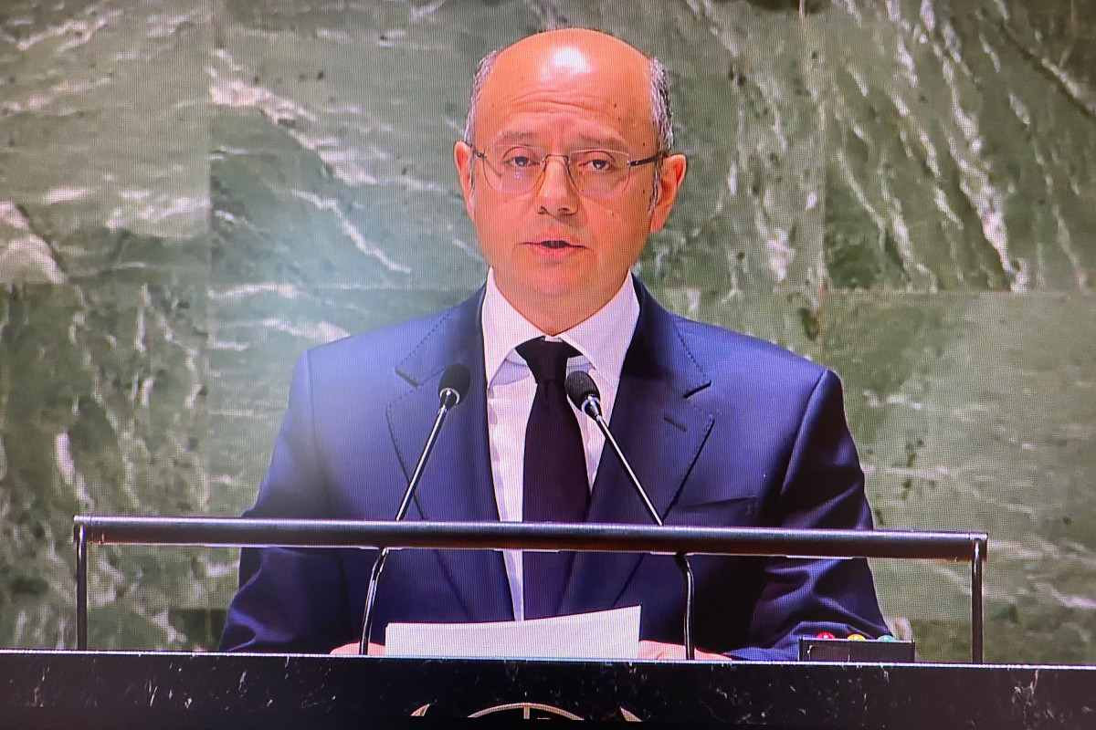 Chairmanship of COP29 will bring Azerbaijan closer to its global goals - Minister