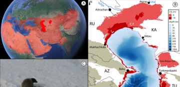 The Caspian is the new Aral. What will the shallowing result in? – ANALYSIS 