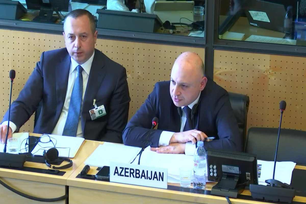 Azerbaijan attaches great importance to cooperation with UN human rights treaty bodies - MFA