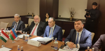 Investments of Hungarian companies in Azerbaijan's economy exceed $1 billion - deputy minister
